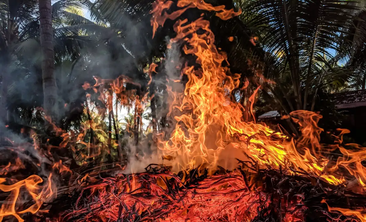 Masalah Kesehatan Anak Akibat Kebakaran Hutan Dan Lahan | Satya Wijaya Brama