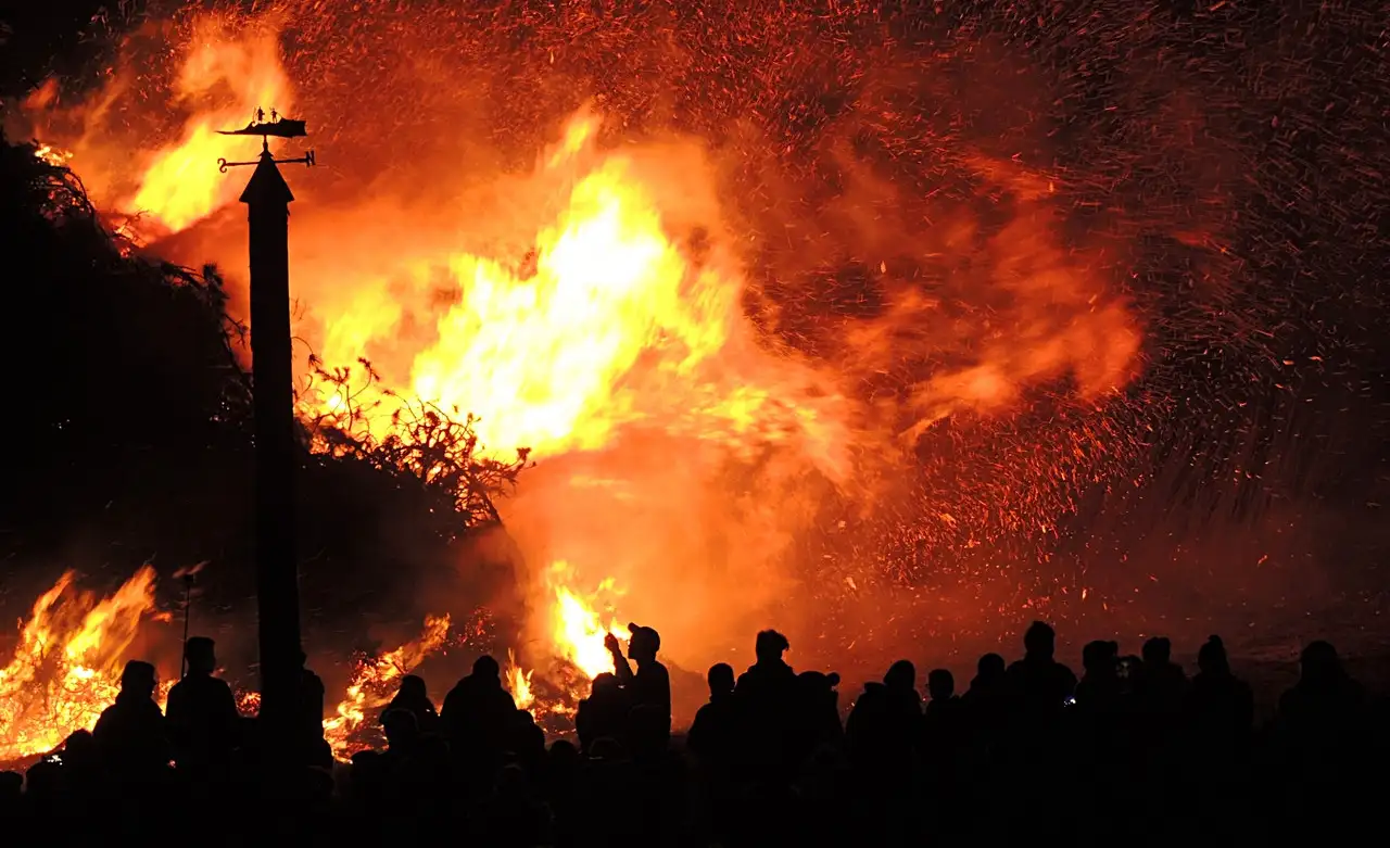 Kebakaran Hutan | Satya Wijaya Brama